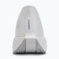 Pánské běžecké boty Nike Pegasus Plus white / pure platinum / wolf grey 6