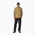 Pánské tričko Patagonia Flying Fish Responsibili Tee limestone yellow/heritage fitz 2