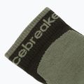 Pánské ponožky Icebreaker Merino Hike+ Light Mini dark loden/lichen 3