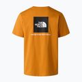 Pánské tričko na lezení The North Face Evolution Box NSE dust orange 6