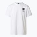 Pánské trekové tričko The North Face Mountain Celebration Regular tnf white