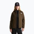 Dámská softshellová bunda The North Face Quest Mono taupe green 5