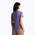 Dámské tričko The North Face Evolution Simple Dome Slim SS grounded plum 3