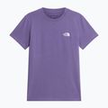 Dámské tričko The North Face Evolution Simple Dome Slim SS grounded plum 4