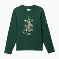 Dětské trekkingové triko Longsleeve Columbia Dobson Pass Graphic Tee Rain Forest/Hike On