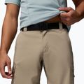 Pánské trekingové šortky Columbia Silver Ridge Utility Cargo tusk 5