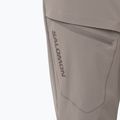 Pánské trekingové kalhoty Salomon Wayfarer iron 4
