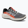 Pánské běžecké boty Salomon Alphaglide GTX castlerock/lunar rock