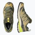 Pánské běžecké boty Salomon XA Pro 3D V9 GTX grape leaf/aloe 3
