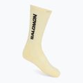 Ponožky Salomon Everyday Crew 3 pack brunnera blue/dusty yellow/icy pink 2