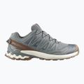 Pánské běžecké boty Salomon XA Pro 3D V9 GTX Lifelong sedona sage/coyote brown