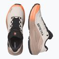 Dámské běžecké boty Salomon Genesis 2 GTX rainy day/desert tan 10
