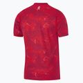 Pánské fotbalové tričko Nike Dri-Fit Poland Stadium Away 2026 noble red/sport red 2