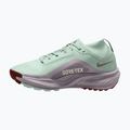 Dámské běžecké boty Nike ACG Pegasus Trail GORE-TEX Barely Green/Silver Lilac/Light Bone 9
