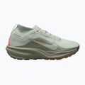 Pánské běžecké boty Nike ACG Pegasus Trail GORE-TEX Light Silver/Light Army/Light Silver 8