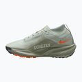 Pánské běžecké boty Nike ACG Pegasus Trail GORE-TEX Light Silver/Light Army/Light Silver 9