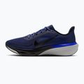 Pánské běžecké boty Nike Pegasus 42 dark slate/grey mist/racer blue/black 2