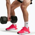 Pánské tréningové boty Nike Hybrid RN laser crimson/metallic silver 7