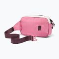 Ledvinka Columbia Trail Traveler Hip sea salt/rosette/moonvista 2