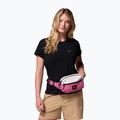 Ledvinka Columbia Trail Traveler Hip sea salt/rosette/moonvista 6