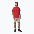 Pánské tričko Columbia CSC Basic Logo Back Tee mountain red/linework c badge 2