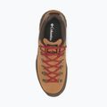Pánské trekové boty Columbia Newton Alpine Low grizzly bear/red oxide 11