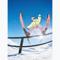 Dámské snowboardové kalhoty ROXY Passive Lines nirvana 11