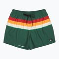 Pánské koupací šortky Quiksilver Everyday Printed Volley 15" forest outside stripe 7