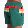 Pánské koupací šortky Quiksilver Everyday Printed Volley 15" forest outside stripe 6