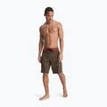 Pánské koupací šortky Quiksilver Surfsilk Straight 20" black horizons 2