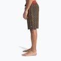 Pánské koupací šortky Quiksilver Surfsilk Straight 20" black horizons 4