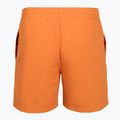 Pánské koupací šortky Billabong All Day Layback clay orange 2