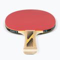 Pálka na stolní tenis DONIC Legends 300 FSC 705234 2