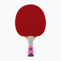 Raketa na stolní tenis Tibhar XXX Szocs