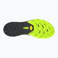 Běžecké boty DYNAFIT Alpine DNA 2 nimbus/black out 2
