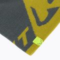 Zimní čepice DYNAFIT Leopard Logo golden lime/0720 3