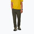 Pánské trekingové kalhoty Salewa Pedroc 5 DST dark olive