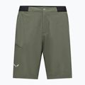 Pánské trekingové šortky Salewa Pedroc 4 DST Cargo faded green