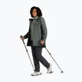 Dámské turistické boty Jack Wolfskin Wild Hike Texapore Mid oyster 9