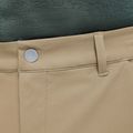 Pánské trekové šortky Jack Wolfskin Pico hazel wood 5