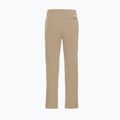 Pánské trekingové kalhoty Jack Wolfskin Pico Trail hazel wood 7