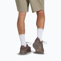 Pánské trekingové boty Jack Wolfskin Terraquest Texapore Low gecko bear 10