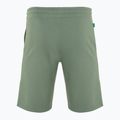 Pánské šortky adidas Essential + Made With Hemp silver green 2