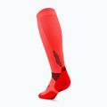 Pánské kompresní ponožky CEP Run Tall 5.0 neon coral 3