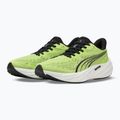 Pánské běžecké boty Puma Velocity Nitro 5 sunny lime/moody gray 11