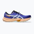 Pánské běžecké boty ASICS Fuji Lite 6 cobalt burst/cool grey 8