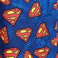 Modré dětské plavecké šortky Zoggs Superman 4