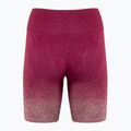 Dámské tréninkové šortky Gymshark Adapt Ombre Seamless red / marl 2