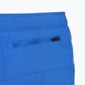 Pánské běžecké šortky Mizuno Core 5,5" princess blue 4