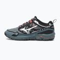 Pánské boty Mizuno Wave Daichi LS stormy weather/silver 8